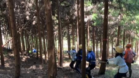 神奈川県と大阪府、長崎県の「チューリッヒの森utf-8 神奈川県と大阪府、長崎県の「チューリッヒの森utf-8