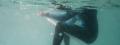 日本発バスフィッシングブランド「deps」× freewaters 日本発バスフィッシングブランド「deps」× freewaters