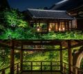 「そうだ 京都、行こう。」連携企画「ZEN NIGHT 東福 「そうだ 京都、行こう。」連携企画「ZEN NIGHT 東福