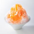ふわっふわな口溶けの『とんでん純氷かき氷』がutf-8 ふわっふわな口溶けの『とんでん純氷かき氷』がutf-8