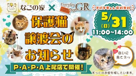 エブリデイゴールドラッシュPAPA上尾店で初開催! エブリデイゴールドラッシュPAPA上尾店で初開催!