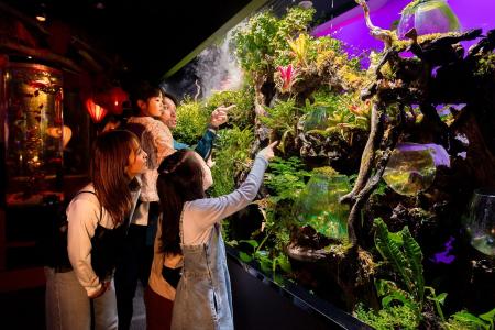 お台場で約4年愛された『UWS AQUARIUM GA☆KYO』2026年 お台場で約4年愛された『UWS AQUARIUM GA☆KYO』2026年