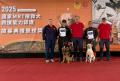 RDTA国際救助犬試験開催in北海道登別市 RDTA国際救助犬試験開催in北海道登別市