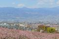 【くふうイエタテ調査】山梨県で進む新築戸建ての”脱 【くふうイエタテ調査】山梨県で進む新築戸建ての”脱