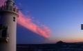 旅行メディア「旅色」で「愛知渥美半島 伊良湖温泉 魚 旅行メディア「旅色」で「愛知渥美半島 伊良湖温泉 魚
