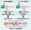 細胞環境──「壊れるか、守られるか」を決める最終ステ 細胞環境──「壊れるか、守られるか」を決める最終ステ