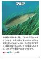 【「編集者」のお仕事体験イベント】6月27日(土)・28 【「編集者」のお仕事体験イベント】6月27日(土)・28