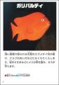 【「編集者」のお仕事体験イベント】6月27日(土)・28 【「編集者」のお仕事体験イベント】6月27日(土)・28