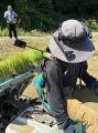 【岡山大学】ウェアラブルカメラで田植え作業を記録 【岡山大学】ウェアラブルカメラで田植え作業を記録