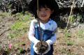 365本の木を植える「クリクラの森プロジェクト」湘南 365本の木を植える「クリクラの森プロジェクト」湘南