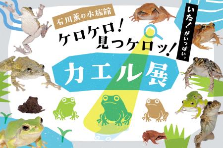 【京都水族館】カエルを愛する飼育スタッフが企utf-8 【京都水族館】カエルを愛する飼育スタッフが企utf-8