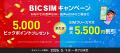 【BIC SIM】1年間おトクが続く!5ギガ月額450円~&10 【BIC SIM】1年間おトクが続く!5ギガ月額450円~&10