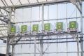 販売開始1時間で完売した『電解水素水で育てた草津メ 販売開始1時間で完売した『電解水素水で育てた草津メ