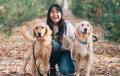 愛犬の“食”と健康に向き合う生食ドッグフードブランド 愛犬の“食”と健康に向き合う生食ドッグフードブランド