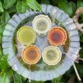 横浜・みなとみらいで『YOKOHAMA TEA FES お茶とお菓 横浜・みなとみらいで『YOKOHAMA TEA FES お茶とお菓
