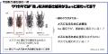 クワガタムシの「カッコよさ」の源を解明するために2 クワガタムシの「カッコよさ」の源を解明するために2
