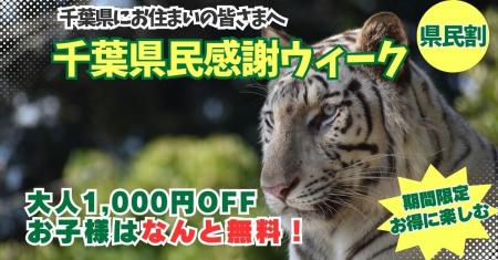 千葉県民限定!県民の日を彩る特別な1週間(千葉県民 千葉県民限定!県民の日を彩る特別な1週間(千葉県民