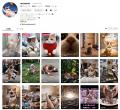 AI猫ちゃんアプリ「Meowster」、ByteTradeをリード投 AI猫ちゃんアプリ「Meowster」、ByteTradeをリード投