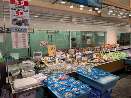 広島の夏の風物詩「小いわし漁」2026解禁 広島の夏の風物詩「小いわし漁」2026解禁
