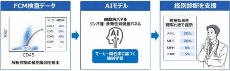血液悪性腫瘍の鑑別診断を支援するAI技術を開発 血液悪性腫瘍の鑑別診断を支援するAI技術を開発