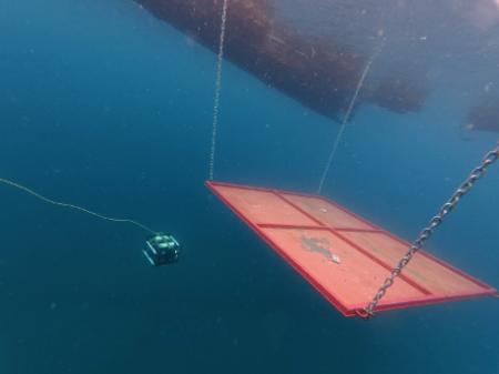 MizLinx、「NEDO Challenge for BLUE ECONOMY」1次コ MizLinx、「NEDO Challenge for BLUE ECONOMY」1次コ