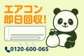 【上尾市限定】6月限定キャンペーン|物置に残った子 【上尾市限定】6月限定キャンペーン|物置に残った子