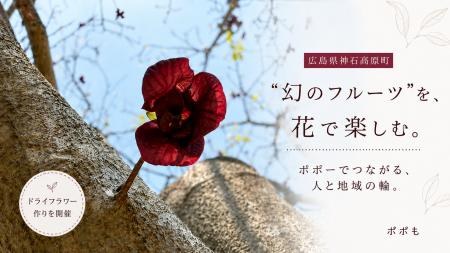 【広島県神石高原町】 【広島県神石高原町】
