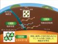 地球の奥深くに沈み込んだ海底の岩石を発見-実験・理 地球の奥深くに沈み込んだ海底の岩石を発見-実験・理