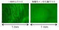 昭和医科大学らの研究グループが、血液1滴によるutf-8 昭和医科大学らの研究グループが、血液1滴によるutf-8