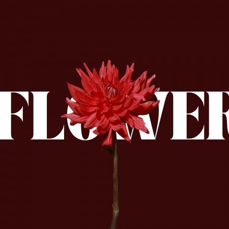 新世代アーティスト「KANAKA」、初の楽曲『Flower』を 新世代アーティスト「KANAKA」、初の楽曲『Flower』を