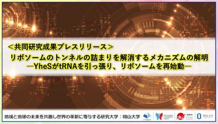 リボソームのトンネルの詰まりを解消するメカニズムの リボソームのトンネルの詰まりを解消するメカニズムの
