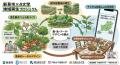 【岡山大学】耕作放棄地を「食べられる森」へ 新見市 【岡山大学】耕作放棄地を「食べられる森」へ 新見市