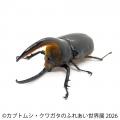 世界のレア昆虫が集結!夏休み限定イベント「カutf-8 世界のレア昆虫が集結!夏休み限定イベント「カutf-8