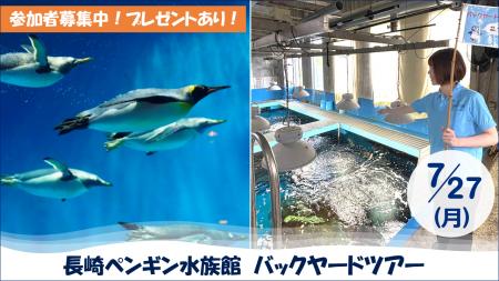 【JAF長崎】ペンギン飼育種類数、世界一!普段入れな 【JAF長崎】ペンギン飼育種類数、世界一!普段入れな