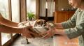 子犬・子猫を迎えた“その日”から一生涯。ペット向けAI 子犬・子猫を迎えた“その日”から一生涯。ペット向けAI