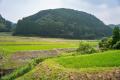 未経験歓迎│かんざきの「ひと」と「暮らし」を発信し 未経験歓迎│かんざきの「ひと」と「暮らし」を発信し