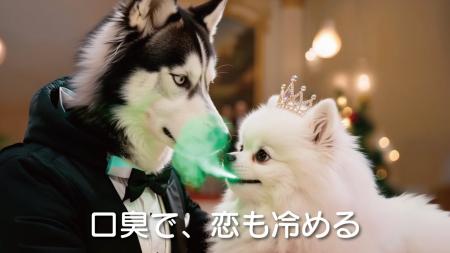「うちの子、食べてくれるかな?」に応えるトライアル 「うちの子、食べてくれるかな?」に応えるトライアル