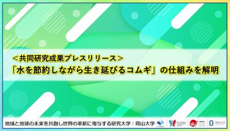 「水を節約しながら生き延びるコムギ」の仕組みを解明 「水を節約しながら生き延びるコムギ」の仕組みを解明