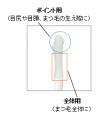 ハリ、コシ、ツヤのあるまつ毛で、美しく印象的utf-8 ハリ、コシ、ツヤのあるまつ毛で、美しく印象的utf-8