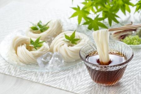 そうめん・おかずに炊き込みご飯 手作りつゆで彩る食 そうめん・おかずに炊き込みご飯 手作りつゆで彩る食