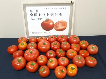 ラージトマト日本一が決定!越冬トマト「株式会社曽我 ラージトマト日本一が決定!越冬トマト「株式会社曽我