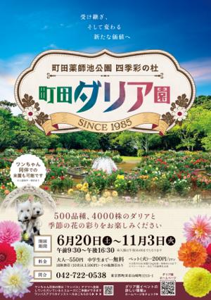 【東京都町田市】「町田薬師池公園四季彩の杜 ダリア 【東京都町田市】「町田薬師池公園四季彩の杜 ダリア