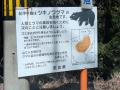 【クマ対策】日本最大の村・奈良県十津川村でクマ対策 【クマ対策】日本最大の村・奈良県十津川村でクマ対策