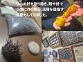 【鹿児島県阿久根市】鹿児島県立鶴翔高等学校が廃棄ウ 【鹿児島県阿久根市】鹿児島県立鶴翔高等学校が廃棄ウ