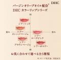 「DHCリップクリームシリーズ」が新たな装いに! 「DHCリップクリームシリーズ」が新たな装いに!