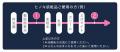 70年以上積み重ねてきた研究実績により誕生した、新し 70年以上積み重ねてきた研究実績により誕生した、新し