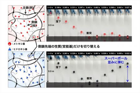 【弘前大学】スーパーボール並みに弾む高含水ゲutf-8 【弘前大学】スーパーボール並みに弾む高含水ゲutf-8
