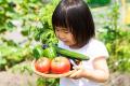 【夏休みの過ごし方】林間学校しまりすキャンプ(全4 【夏休みの過ごし方】林間学校しまりすキャンプ(全4