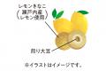 広島の物語をお土産に。新ブランド「広島物語(TM)」第 広島の物語をお土産に。新ブランド「広島物語(TM)」第