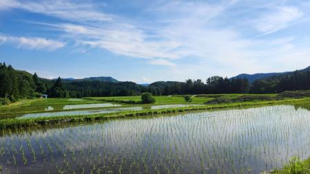 猛暑に備える米づくり。鳥取・田中農場、令和8年産新 猛暑に備える米づくり。鳥取・田中農場、令和8年産新